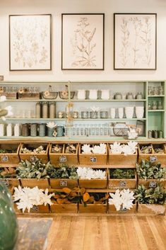 the shelves are filled with plants and jars