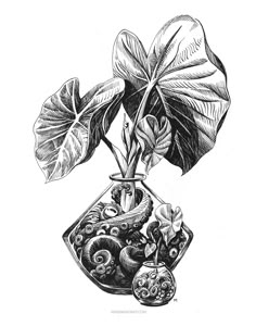 an ink drawing of a plant in a vase