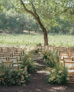 rows of wooden chairs set up in front of a tree with flowers and greenery