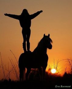 a woman standing on the back of a horse at sunset with her arms spread out