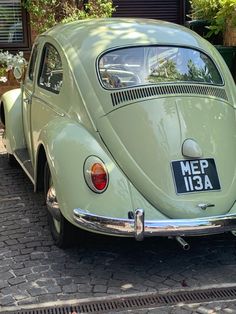 Vintage sage green bug car Sage Green Volkswagen Beetle, Sage Green Car Decor, Sage Green Jeep, Green Bug Car, Bug Car Aesthetic, Green Beetle Car, Sage Green Car, Green Volkswagen Beetle, Cottagecore Car