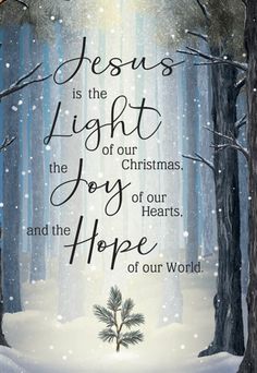 a christmas card with the words jesus is the light of our christmas joy and the hope of our world