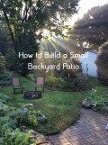 an image of a backyard with lots of plants in the grass and sun shining through the trees