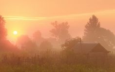 the sun is setting over a farm with trees in the foreground and fog on the ground