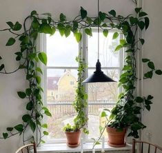 two potted plants are sitting on a window sill