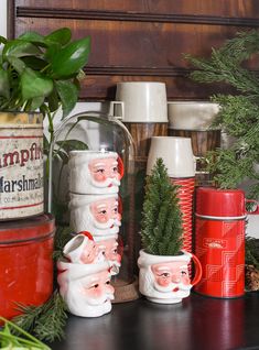 there are many christmas mugs on the shelf next to plants and other holiday decorations