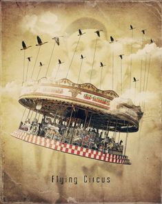 the flying circus has birds on it