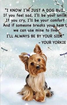 a small dog sitting in the snow with a quote on it's back side