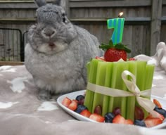 a rabbit is sitting next to a birthday cake with strawberries and celery