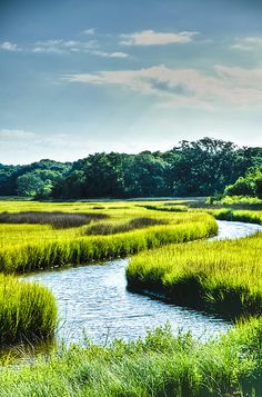 a river running through a lush green field next to tall grass covered fields and trees