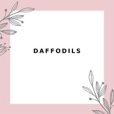 the words daffodils in black and white on a pink background with leaves