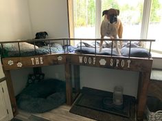 a dog sitting on top of a bed in a room