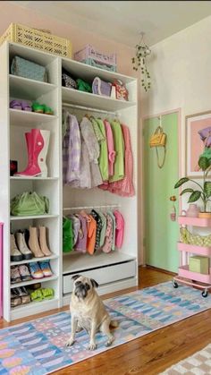 a pug dog sitting on the floor in front of a closet full of children's clothes