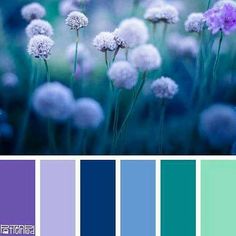 the color scheme is blue, green and purple with white dandelions in it