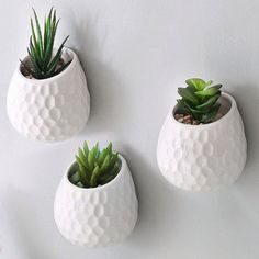 three white vases with succulent plants in them hanging on the side of a wall