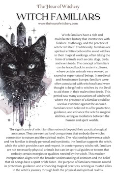 Witch Familiars, Folklore, Witchcraft, Mythology, Spiritual Entities, Protection, Guides, Magical Familiars Witchcraft, Familiars In Witchcraft, Witchcraft Familiar, Animal Familiars Witch, Witch Familiar Animals List, Familiars Witch Animal, Animal Omens, Cats Witchcraft, Witches Journal