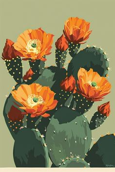 an image of a cactus with orange flowers