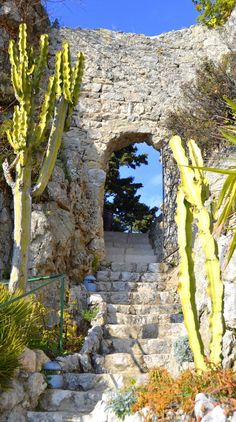 an old stone building with cactus trees in the foreground and stairs leading up to it