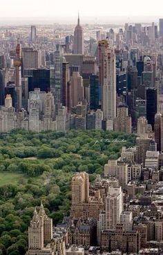 an aerial view of new york city from the top of the empire building, looking down on central park