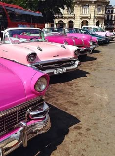 several pink cars are lined up in a row