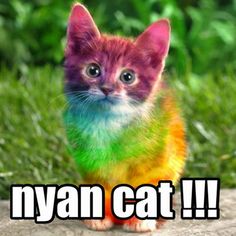 a cat that is sitting in the grass with caption saying, nyan cat