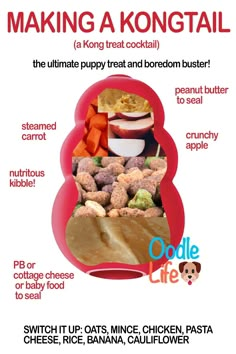 a poster with instructions for making a kong - oatmeal and other treats