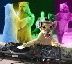 a lion is playing on a dj's turntable in front of other lions