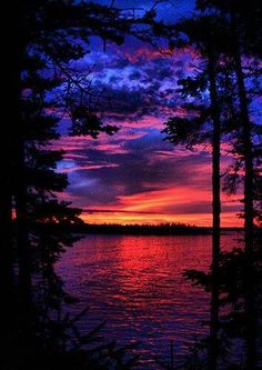 the sun is setting over the water and trees are silhouetted against the purple sky