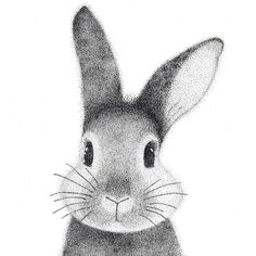 a black and white drawing of a rabbit with big ears, sitting in front of a white background