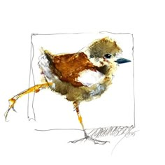 a drawing of a small bird with brown feathers and yellow legs, standing on one leg