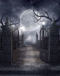 an open gate leading into a creepy graveyard with the moon in the sky behind it