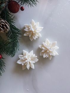 three white flowers sitting on top of a table next to pine cones and christmas decorations