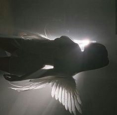 a person holding an object in their hand with the light shining through it and there is only one wing visible