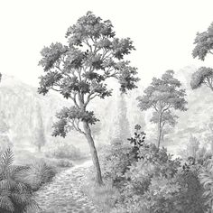 a black and white drawing of a forest scene