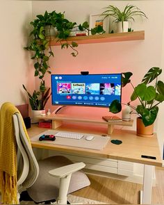 a desk with a monitor, keyboard and some plants on the shelf above it in front of a pink wall