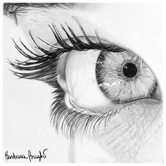 a pencil drawing of an eye with long lashes