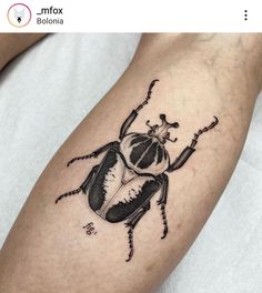 a black and white beetle tattoo on the arm