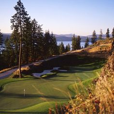 a golf course with trees and water in the background