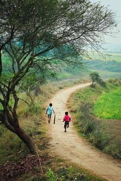 two people walking down a dirt road next to a tree on the side of a hill