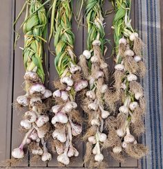 three bunches of garlic are hanging on a rack with some roots still attached to them