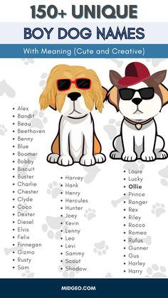 two dogs wearing sunglasses and hats with the words boy dog names