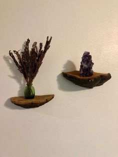 two pieces of driftwood are sitting on the wall, one has a vase with purple flowers in it