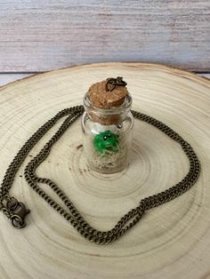 Never be alone again with these cute pendant companions. Frog Terrarium, Terrarium Necklace, Glass Terrarium, Columbus, Terrarium, Pendant Necklaces, Necklace Etsy, Jewelry Necklace Pendant, Polymer Clay