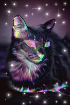 a cat that is sitting down with its eyes closed and glowing in the dark,