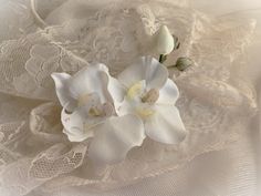 two white flowers sitting on top of lace