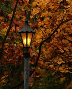 a lamp post in front of a tree with yellow leaves