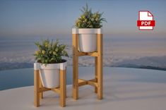 two potted plants are sitting on wooden stands