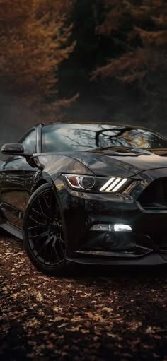 the front end of a black mustang car parked on top of a forest filled with leaves