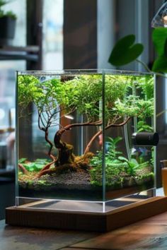 an aquarium with plants and rocks in it on a table next to a glass vase