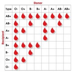 an image of blood drops on the screen